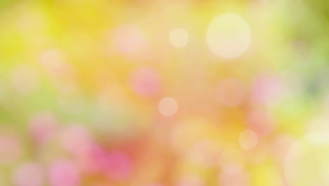 fondo de resorte abstracto con bokeh