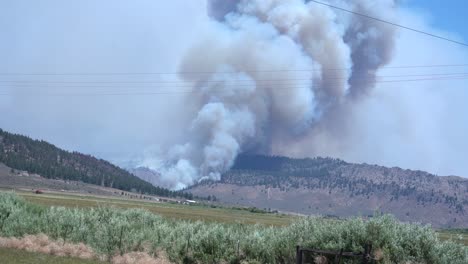 gran penacho de humo de furioso incendio forestal