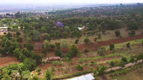 drone shot vista panorámica de los campos agrícolas verdes en loitokitok, kenia - toma aérea de drones