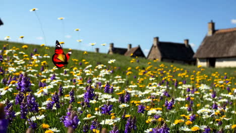 butterflies in a colorful meadow near houses