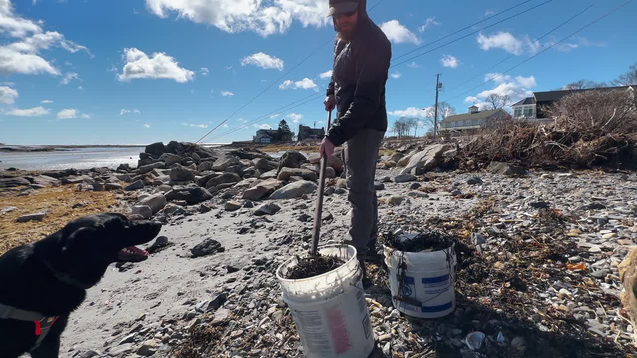 trabajador de la playa limpiando las algas de la playa de arena en cámara lenta