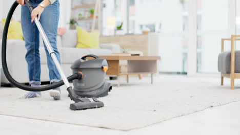 carpet, vacuum cleaner and a person in the living