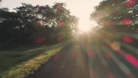 Imágenes-De-Drones-De-Una-Carretera-Durante-Un-Amanecer-Dorado