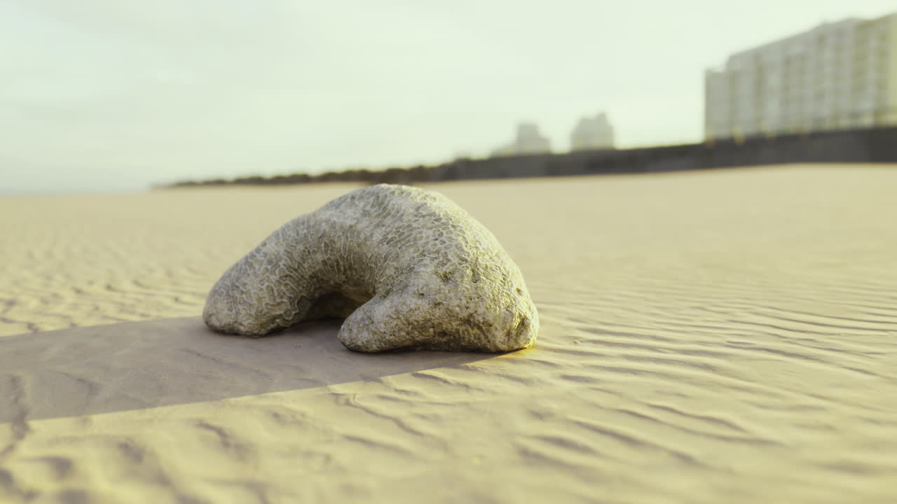 A smooth curved rock rests on the sandy beach surrounded by gentle dunes