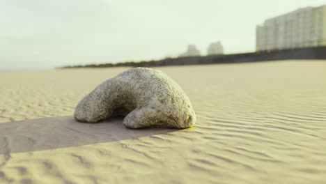 a smooth curved rock rests on the sandy beach surrounded by gentle dunes