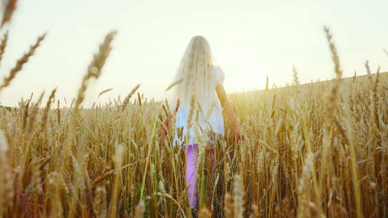 Młoda dziewczyna z długimi blond włosami spacerująca po złotym polu pszenicy o zachodzie słońca.