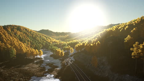 vista aérea de un camino a través de un bosque en otoño