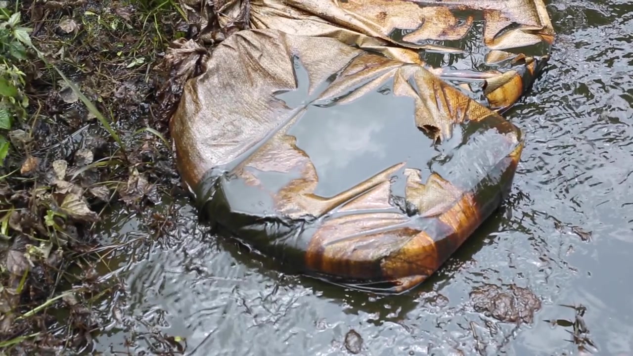 crisi del furto di petrolio, inquinamento del Delta del Niger, conflitto per il petrolio greggio, distruzione ambientale, vandalismo degli oleodotti, raffinazione illegale, lotta per l'oro nero, danno all'ecosistema, contaminazione fluviale, impatto sulla comunità