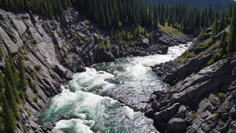 powerful river rapids flowing through a rocky canyon forest