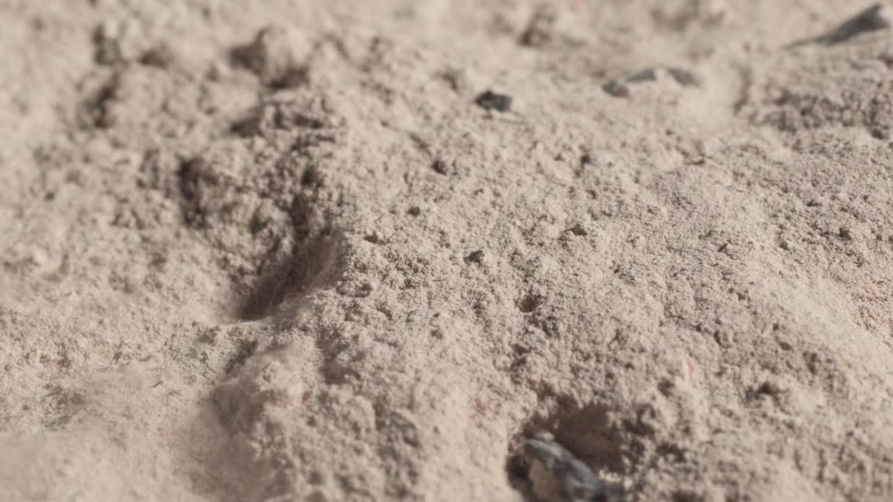 Wind Erodes Sandy Clay Soil, Showcasing Close-Up Of Sand Erosion In Motion