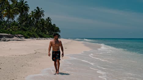 a solitary man walks along the untouched shoreline of geiymiskih fannu beach in fuvahmulah, surrounded by swaying palm trees and the gentle rhythm of turquoise waves.