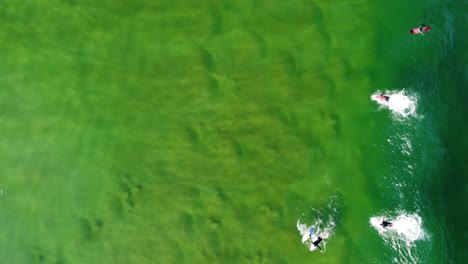 Aerial-drone-bird's-eye-view-of-surfers-riding-waves-crystal-clear-water-swell-sandbank-Central-Coast-tourism-NSW-Australia-4K