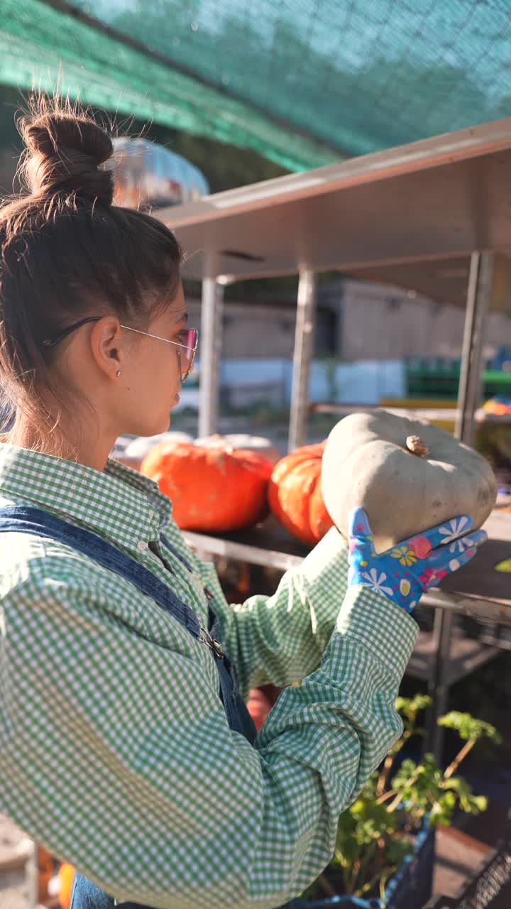 mujer examinando calabaza en un mercado de agricultores