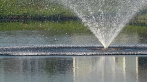 great blue heron on a water fountain flies away when the fountain starts