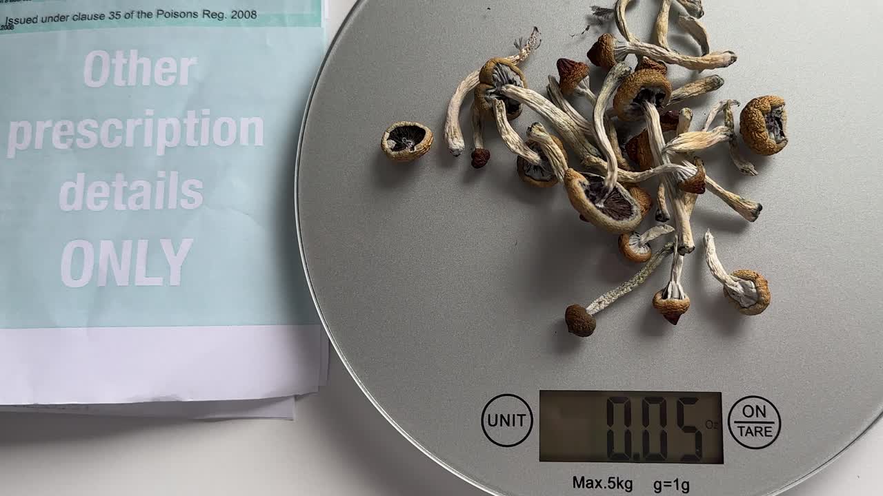 hongos mágicos de psilocibina recetados para el tratamiento de la depresión resistente a los medicamentos se sientan en una balanza de 5 gramos
