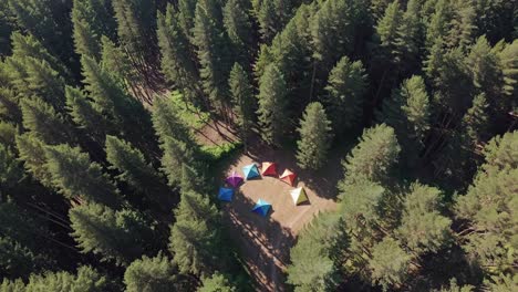 colorful tents in a forest - aerial view