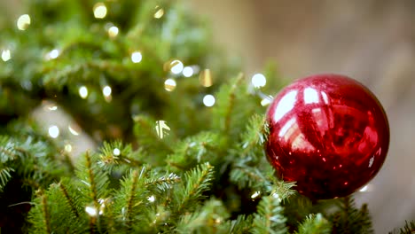 young woman hanging decorative red ornament on christmas tree, closeup