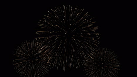 Fireworks-Celebrate