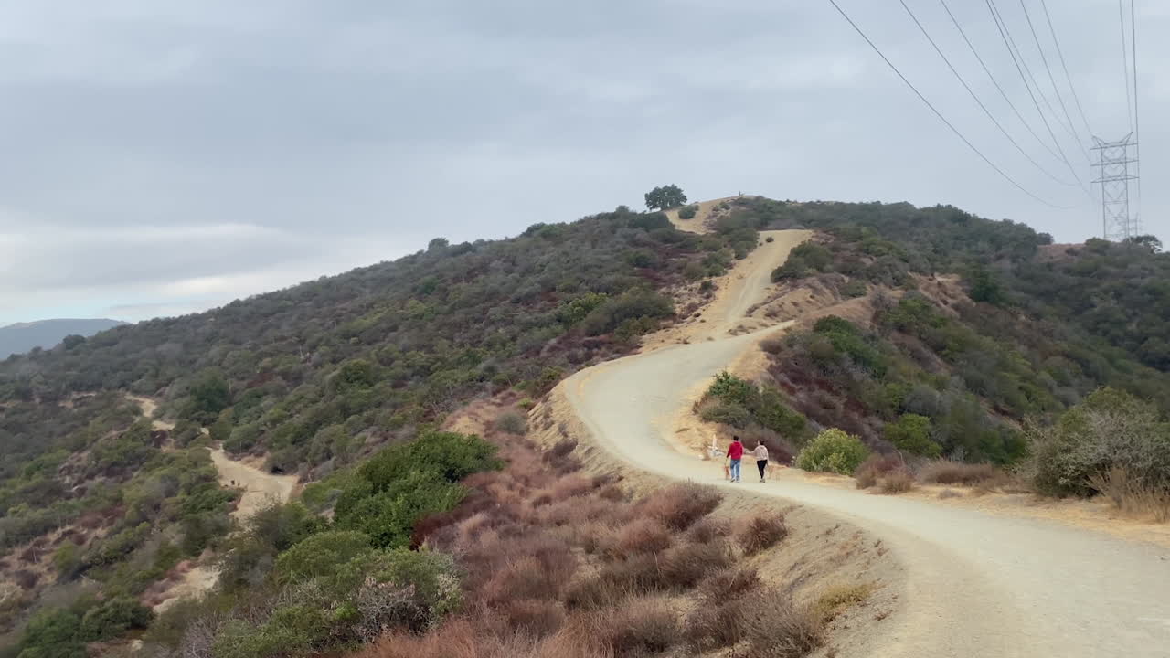 pareja pasea a dos perros golden retriever en la ruta de senderismo de montaña, en la distancia