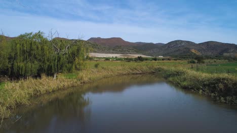 Drone-flies-past-old-dead-tree-next-to-farm-dam