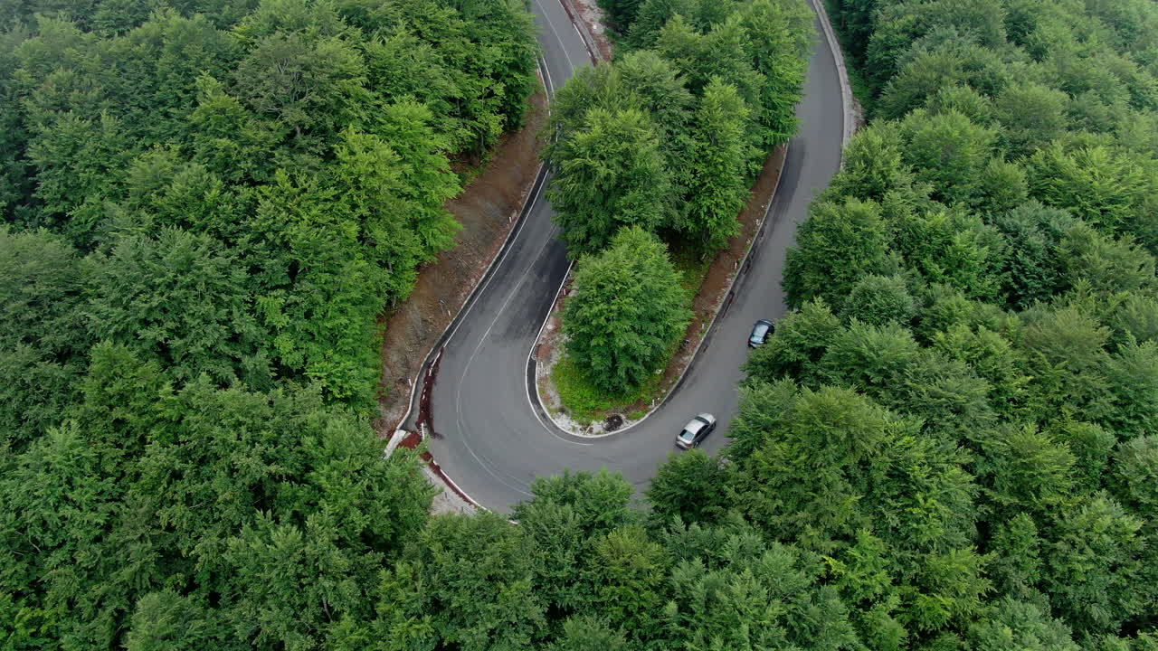 A winding road cuts through a dense forest Cars travel along the road surrounded by green trees The view is from above showing the road's curves