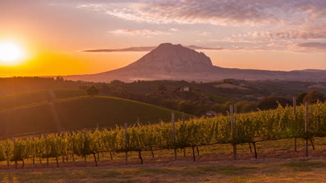 golden hour over a vineyard with a majestic mountain in the background