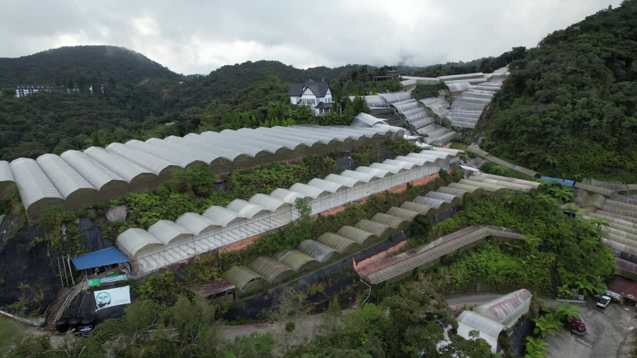 말레이시아의 카메론 하이랜드 지역 내의 브린창 지역의 일반 풍경