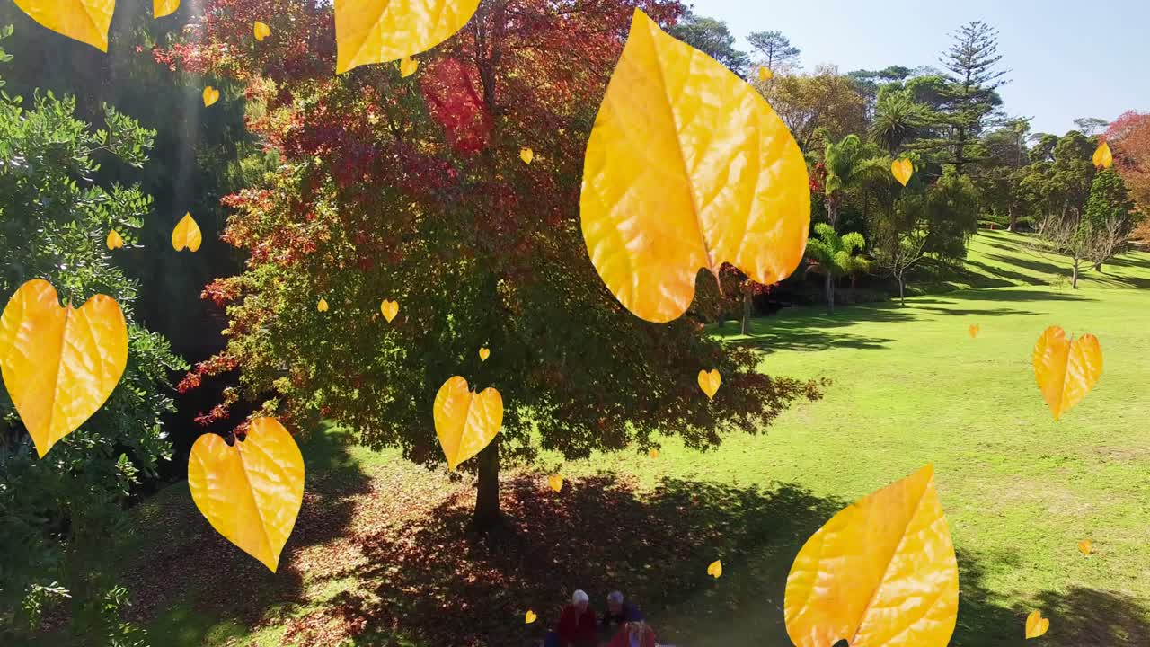 animación de hojas de otoño naranjas que caen en el parque