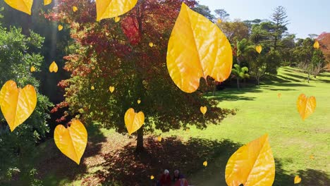 Animación-De-Hojas-De-Otoño-Anaranjadas-Cayendo-En-El-Parque.