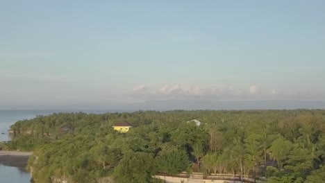 Drone-shot-flying-over-tropical-island-trees