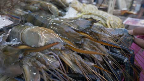 Giant-fresh-river-prawn-shrimp-on-ice-at-local-street-seafood-market-for-sale