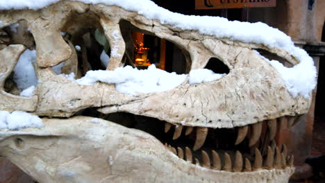 Dinosaur-skull-on-display-during-a-snowstorm