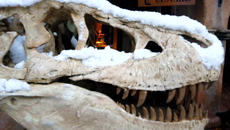 cráneo de dinosaurio en exhibición durante una tormenta de nieve