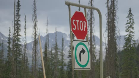 Stop sign hanging in front of tree tops and distant mountains