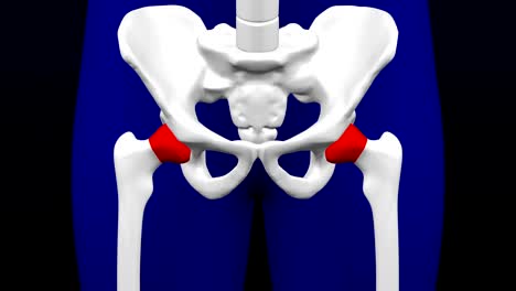 disease of the joints.