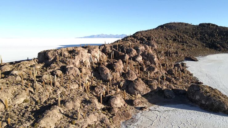 Experimente o encanto de Incahuasi enquanto o drone se afasta graciosamente, exibindo sua mistura única de ilha tranquila e vistas majestosas do deserto de sal em Uyuni