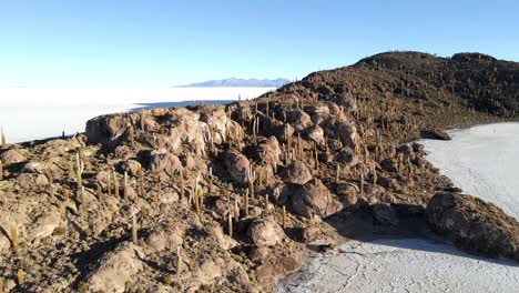 Experimente-El-Encanto-De-Incahuasi-Mientras-El-Dron-Se-Aleja-Con-Gracia,-Mostrando-Su-Combinación-única-De-Isla-Tranquila-Y-Vistas-Majestuosas-Del-Desierto-De-Sal-En-Uyuni.