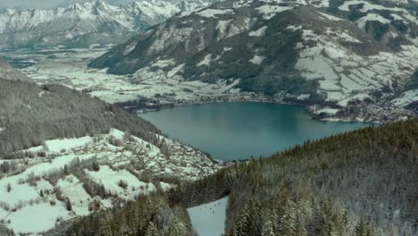 Snow-Covered-Forest-Mountains-in-Austrian-Alps