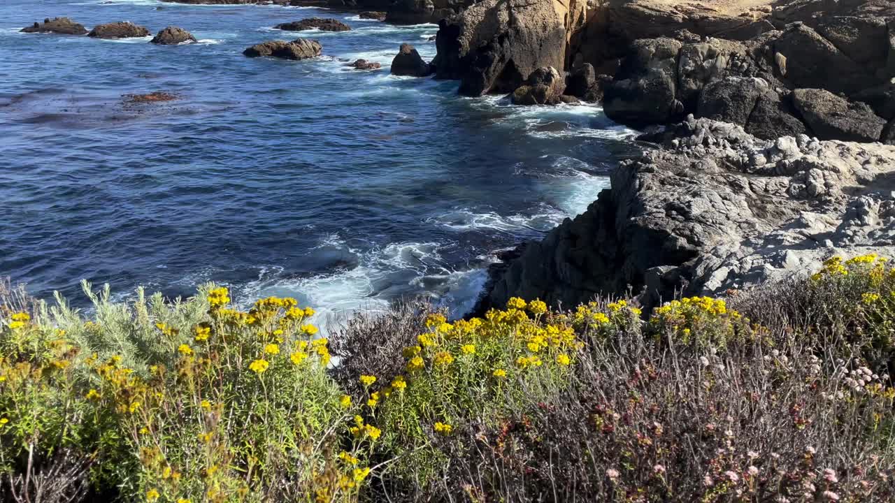 tiro de pedestal inclinado de hermosas flores y olas rompiendo a lo largo de la costa del pacífico en big sur california en un día soleado