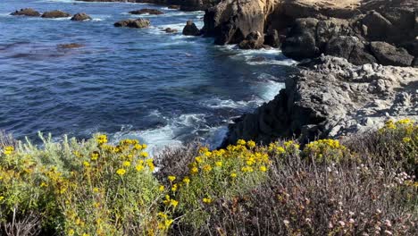 Tiro-De-Pedestal-Inclinado-De-Hermosas-Flores-Y-Olas-Rompiendo-A-Lo-Largo-De-La-Costa-Del-Pacífico-En-Big-Sur-California-En-Un-Día-Soleado