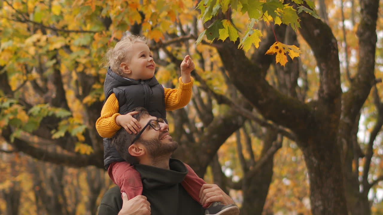 il bambino è seduto sulle spalle del padre e sta guardando le foglie gialle degli alberi nella foresta autunnale. papà e figlio stanno trascorrendo del tempo insieme a passeggiare nella natura.