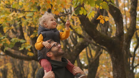 Das-Kleine-Kind-Sitzt-Auf-Den-Schultern-Seines-Vaters-Und-Betrachtet-Die-Gelben-Blätter-Eines-Baumes-Im-Herbstwald.-Vater-Und-Sohn-Verbringen-Gemeinsam-Zeit-Beim-Spazierengehen-In-Der-Natur