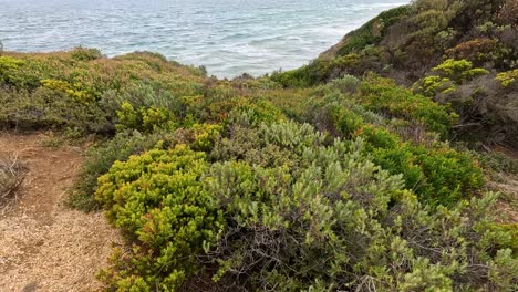 lush greenery and ocean waves create a serene coastal landscape. natural lighting enhances the vibrant colors and tranquil atmosphere