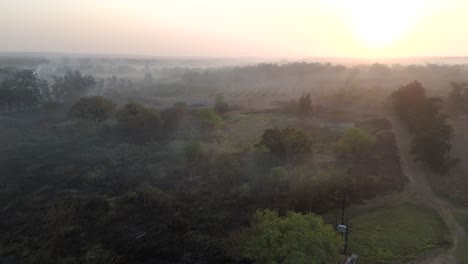 slow cinematic descent of burnt farmlands and trees after sunrise. scorched land early morning.