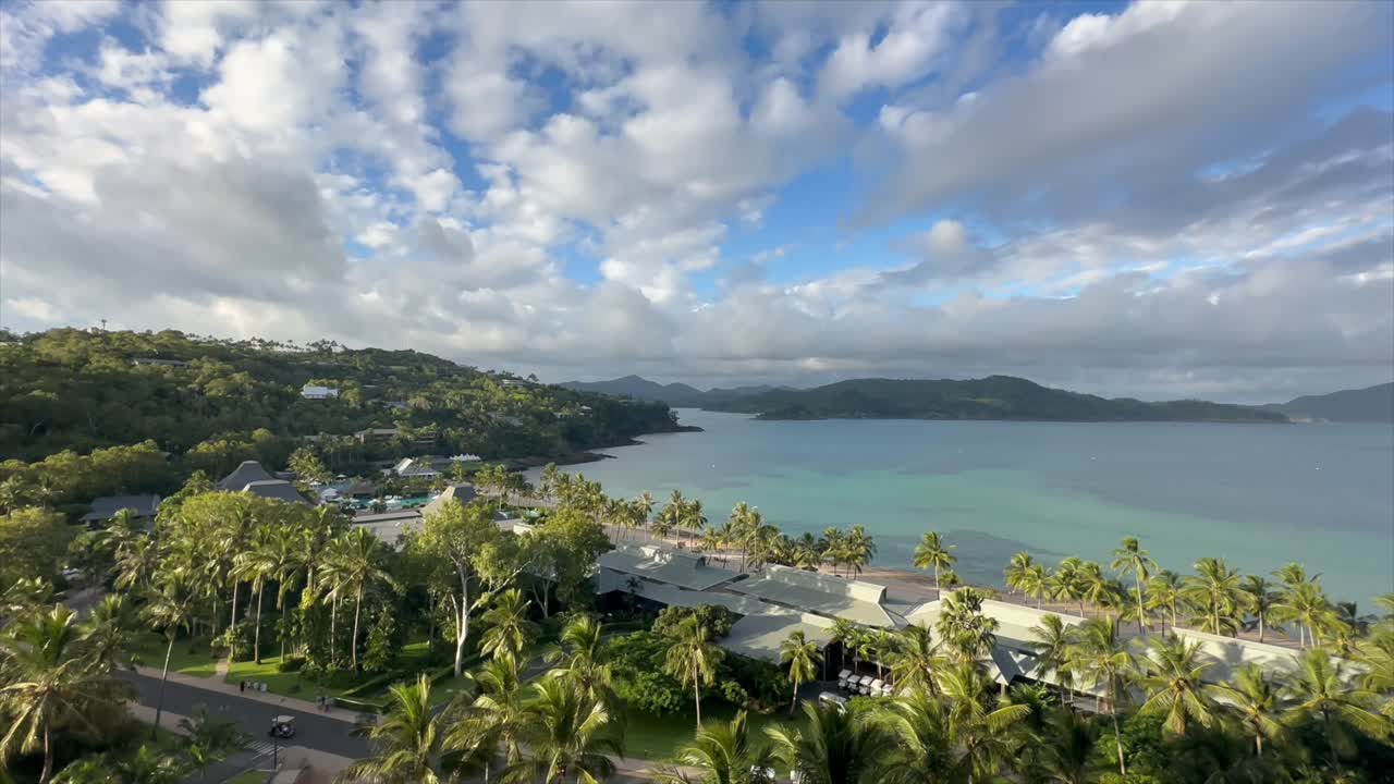 나무와 줄무 하늘