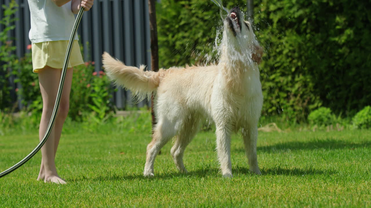 niño jugando con un perro en el jardín