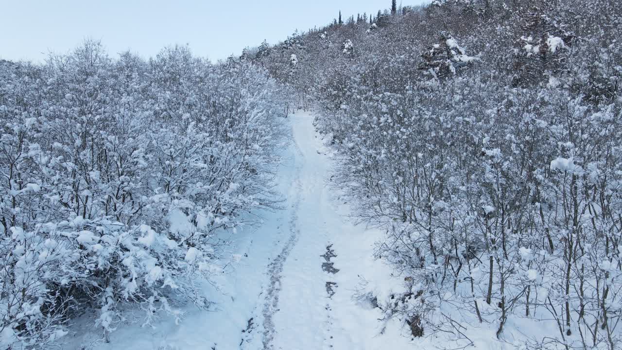 얼어 붙은 숲 눈 도로 조감도