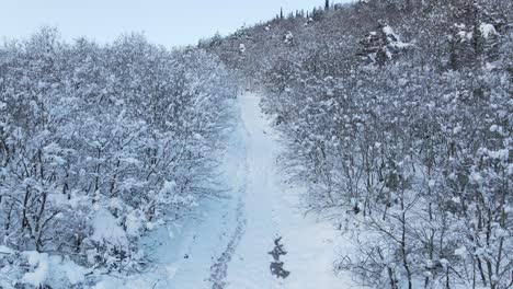 Bosque-Congelado-Nieve-Carretera-Vista-Aérea