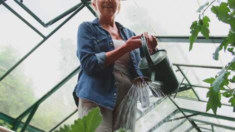 mature woman with watering can gardening in greenhouse at home