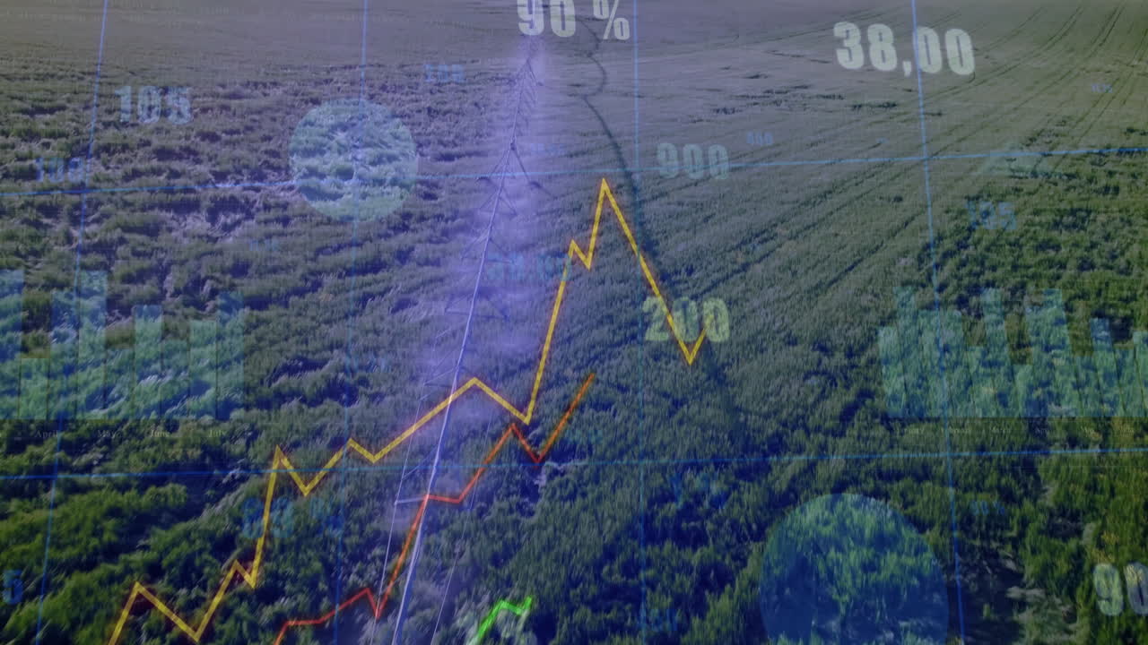 금융 데이터 및 그래프: 산림 풍경의 공중 전망을 통해 애니메이션